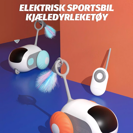 Elektrisk Sportsbil Kjæledyrleketøy